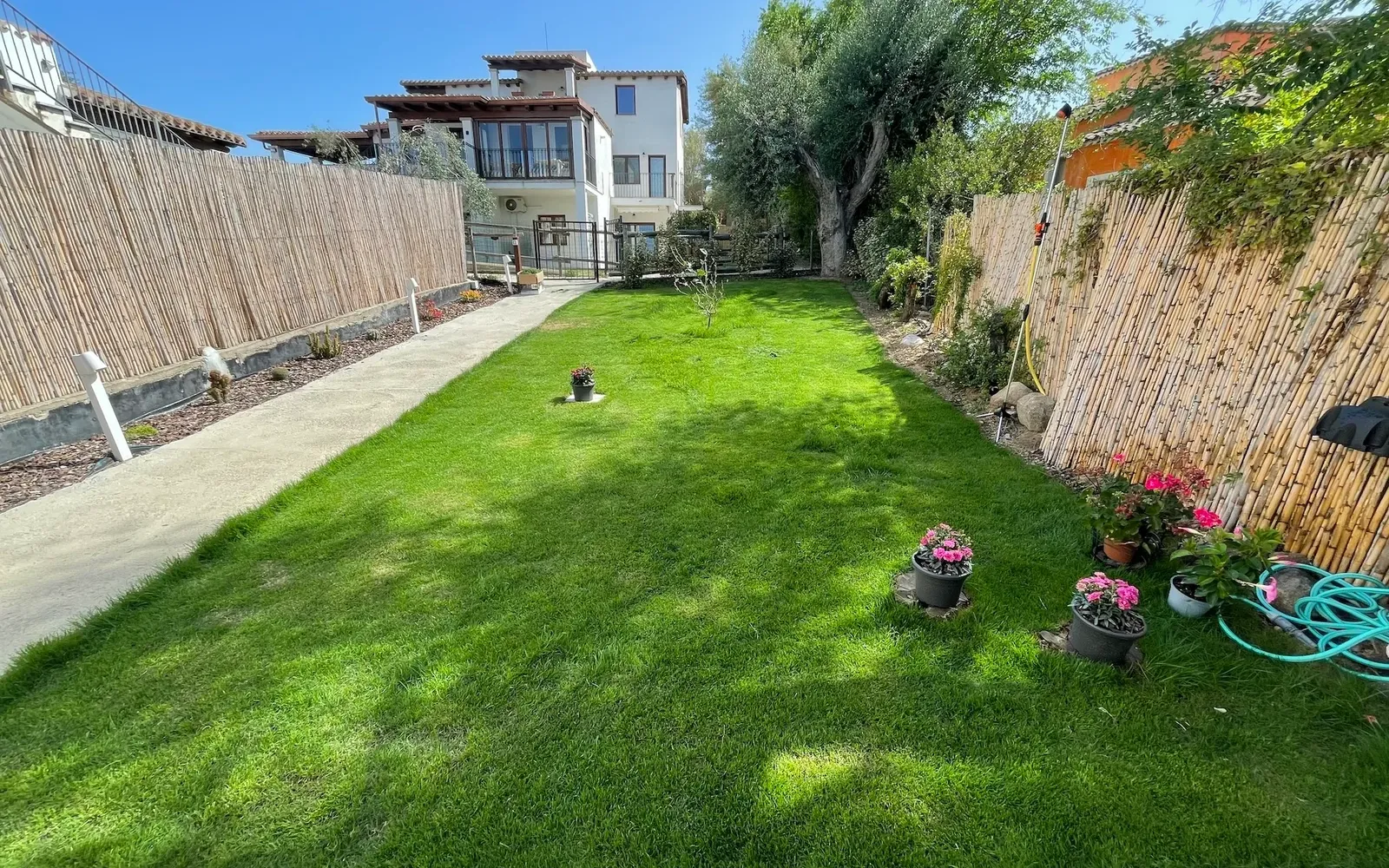 Il prato del giardino privato, recintato con le canne